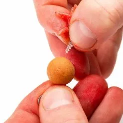 Nash Maggot Screws -Tackle boxes Winkel maggotins4.2e16d0ba.fill 600x600 1