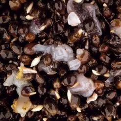 Nash Scopex Squid Hemp 2.5L