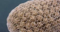 Nash Webcast PVA -Tackle boxes Winkel webcast